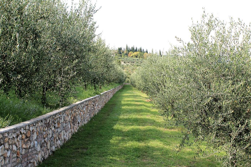 Ca' Dei Coci B&B San Martino Buon Albergo Dış mekan fotoğraf