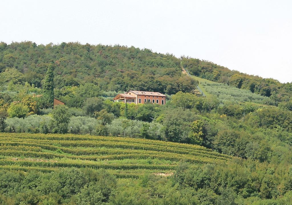 Ca' Dei Coci B&B San Martino Buon Albergo Dış mekan fotoğraf