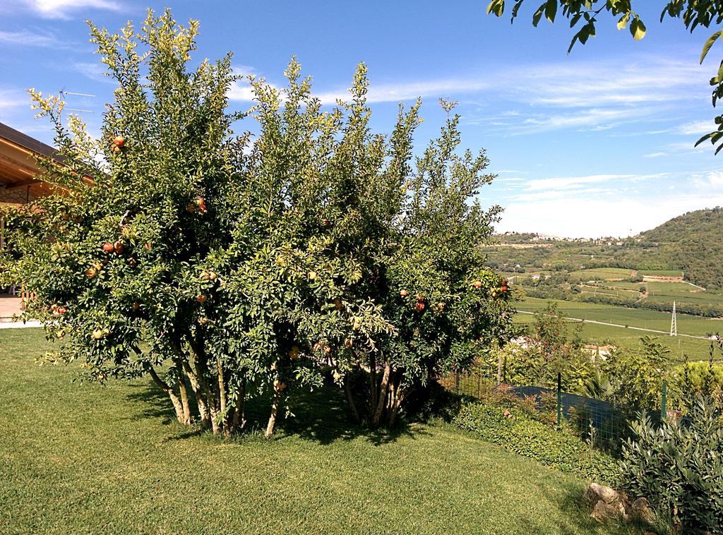 Ca' Dei Coci B&B San Martino Buon Albergo Dış mekan fotoğraf